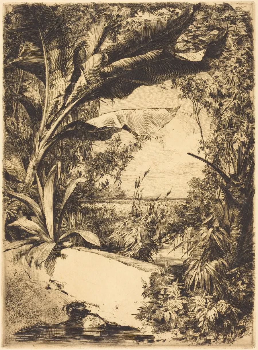 Plantes de Serre (Greenhouse or Aquatic Plants) by Jules-Ferdinand Jacquemart