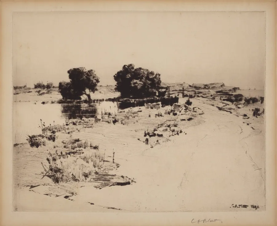 Cape Ann Willows by Charles A. Platt