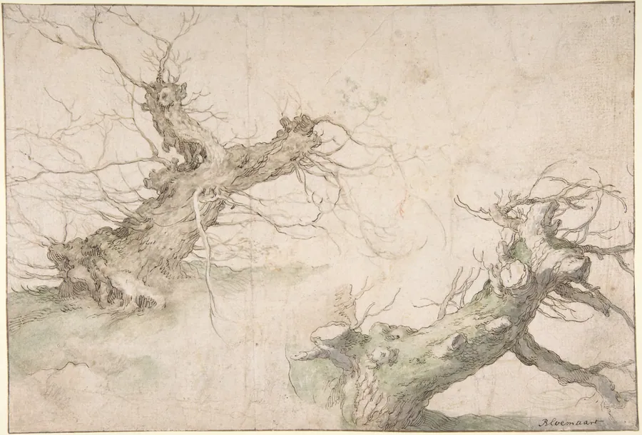 Studies of Two Pollard Willows; Verso: Wide Landscape Prospect by Abraham Bloemaert