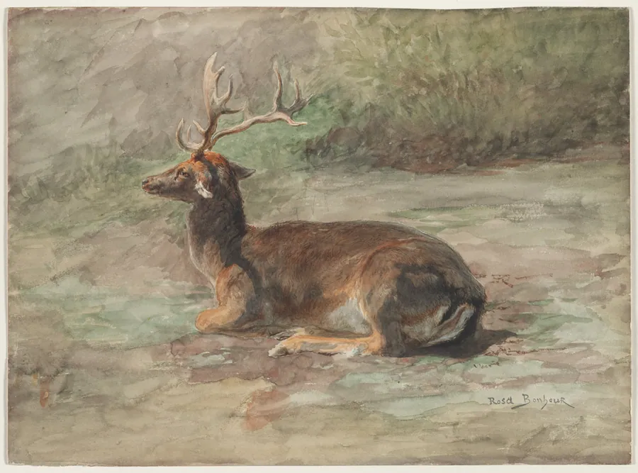Stag Lying Down by Rosa Bonheur