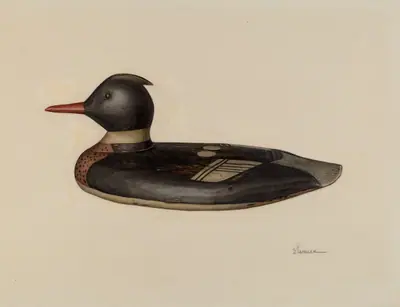 Decoy