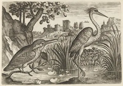 Kingfisher and Grey Heron