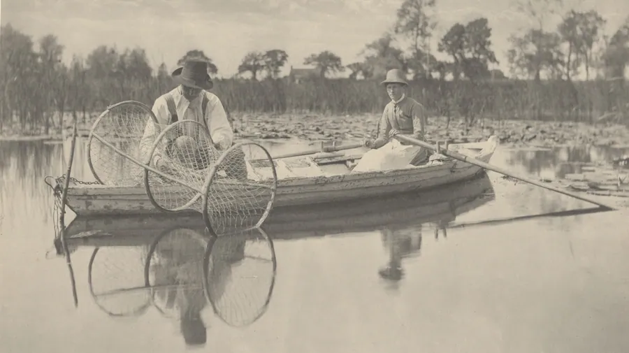 Setting the Bow-Net by T.F. Goodall