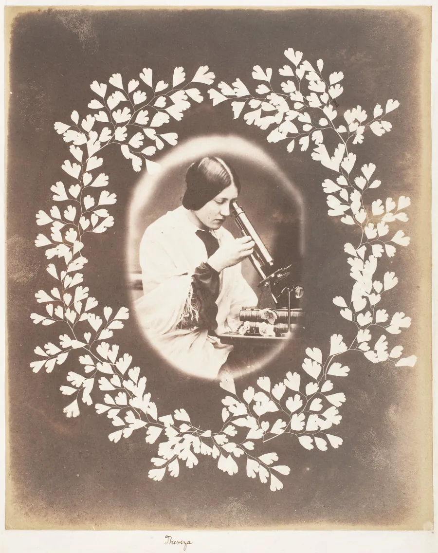 Thereza by John Dillwyn Llewelyn