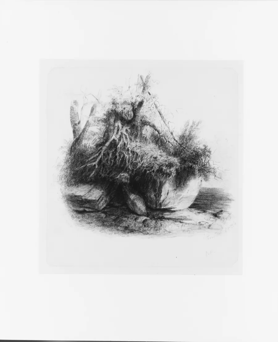 Scene (from McGuire Scrapbook) by John Rubens Smith
