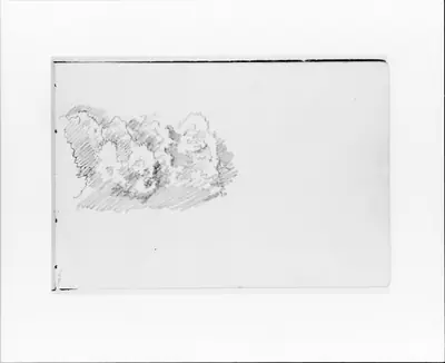 Sketch of Trees (Clouds?) (from Sketchbook VII)