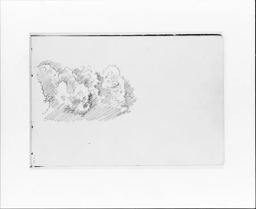 Sketch of Trees (Clouds?) (from Sketchbook VII) by William Trost Richards