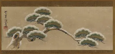 Snow-laden Pine Boughs