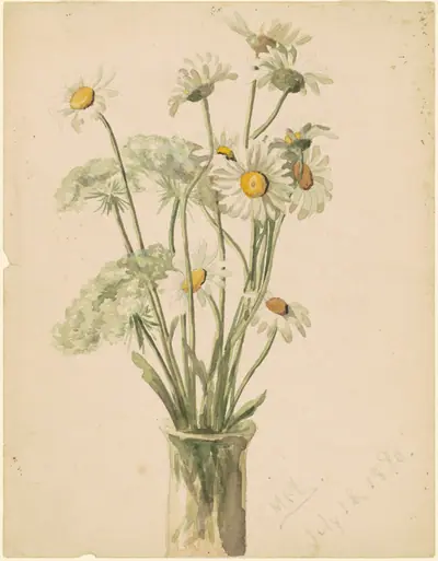 Daisies and Queen Ann's Lace