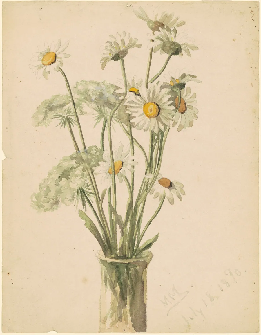 Daisies and Queen Ann's Lace by Marietta Minnigerode Andrews
