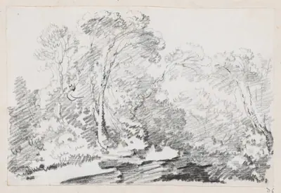 Trees