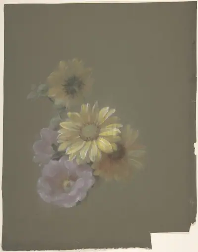 Yellow Daisies and Pink Wild Rose