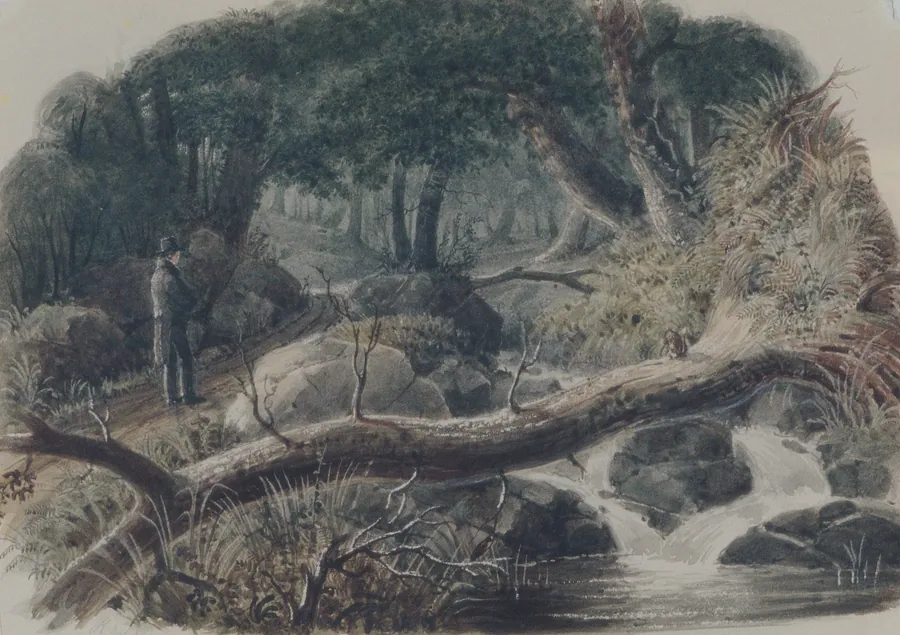 The Entrance to a Wood by Robert Walter Weir