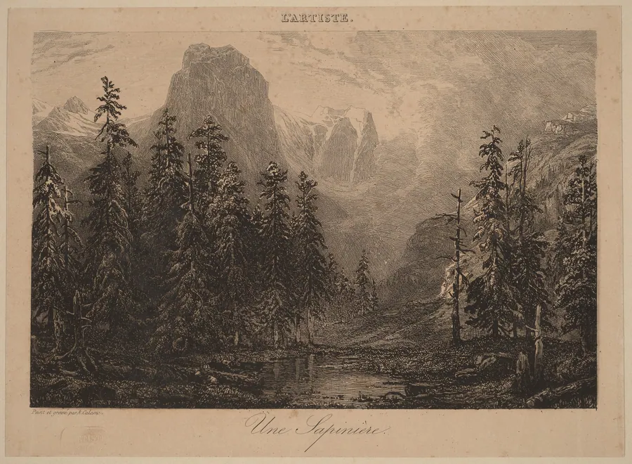 Une Sapinière by Alexandre Calame