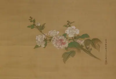 A branch of flowering hibiscus