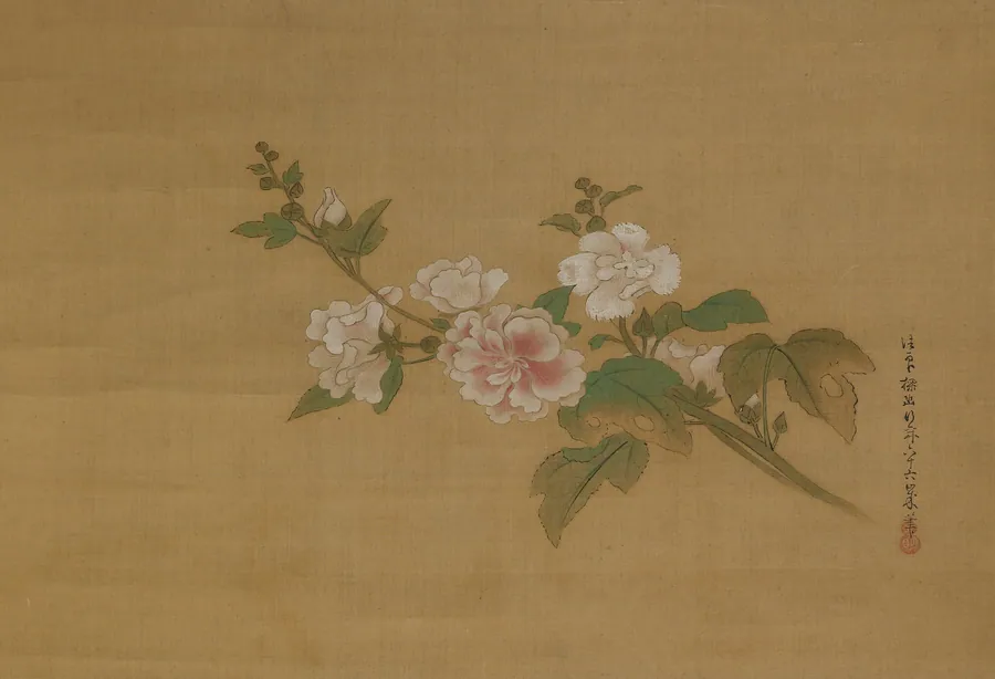 A branch of flowering hibiscus by Kano Tan'yu 狩野探幽 (1602-1674)