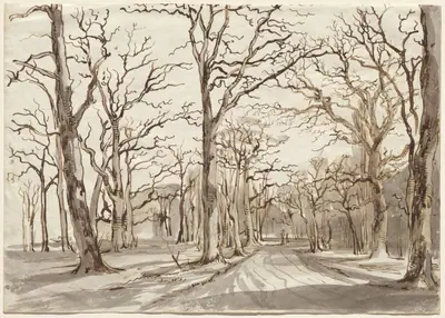 A Woodland Path in Rosenthal in Winter