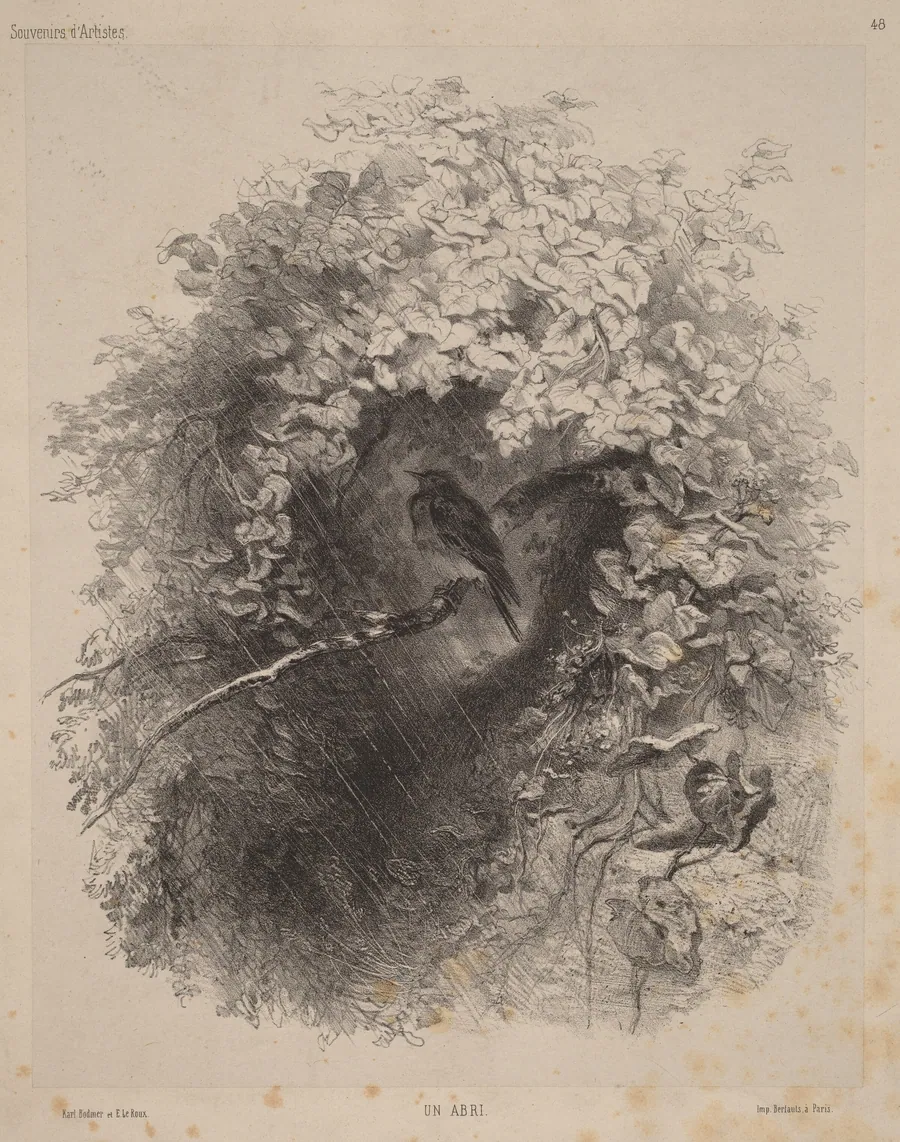 Un Abri (A Shelter) by Karl Bodmer