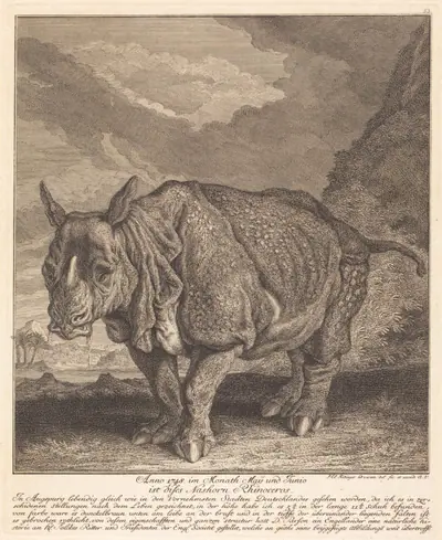 Nashorn Rhinoceros