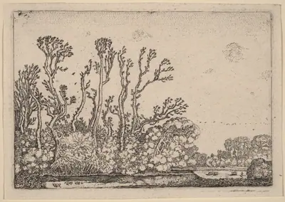 Herd of Sheep Near the Water