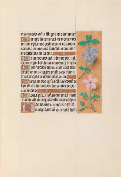Hours of Queen Isabella the Catholic, Queen of Spain: Fol. 62r