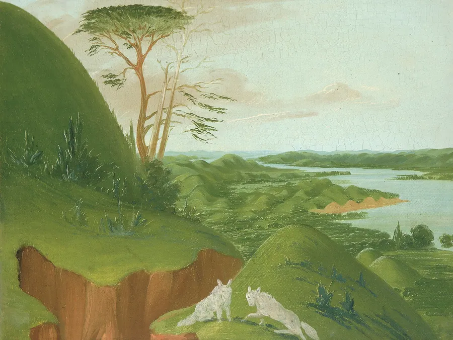 River Bluffs with White Wolves in the Foreground, Upper Missouri by George Catlin, born Wilkes-Barre, PA 1796-died Jersey City, NJ 1872