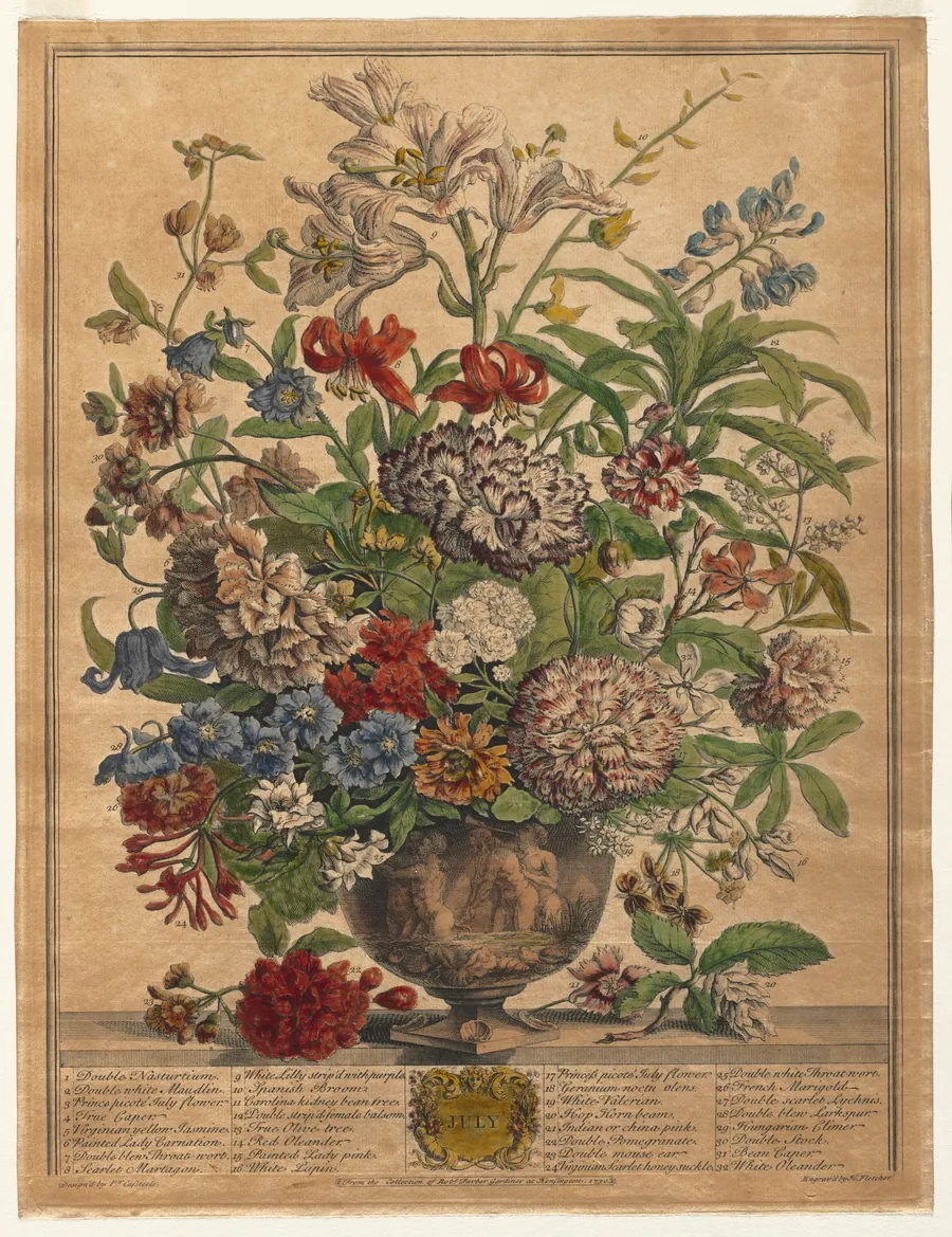 Twelve Months of Flowers:  July by Henry Fletcher