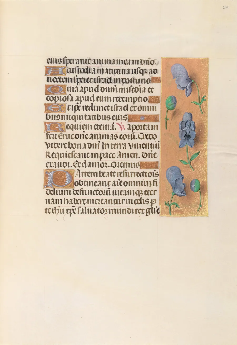 Hours of Queen Isabella the Catholic, Queen of Spain:  Fol. 256r by Master of the First Prayerbook of Maximillian