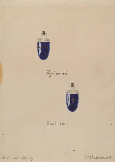 Perfume Bottle
