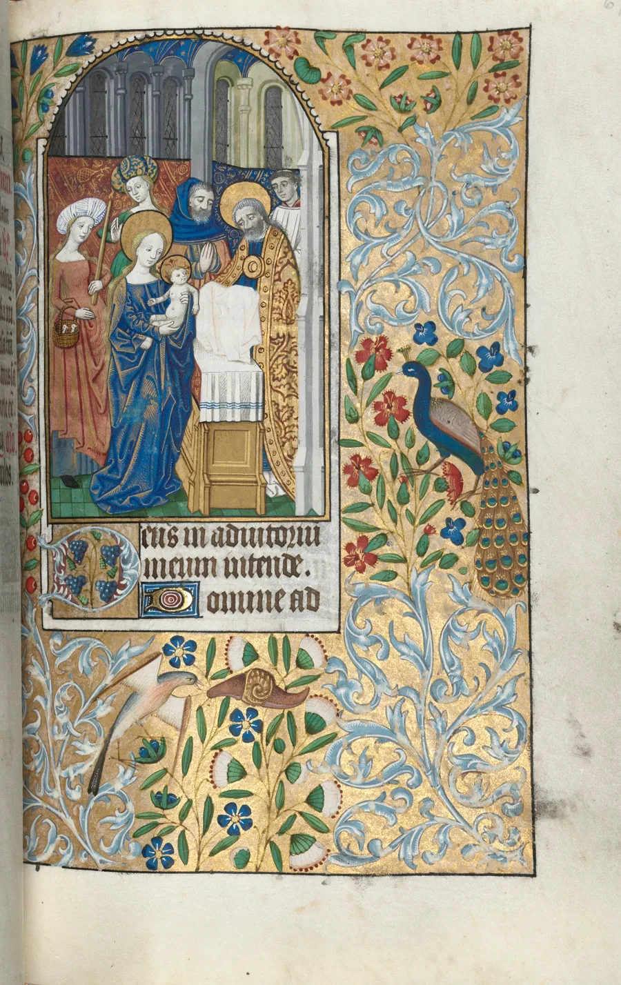 Book of Hours (Use of Rouen): fol. 67r, Opening of None, Presentation of the Christ Child in the Temple by Master of the Geneva Latini