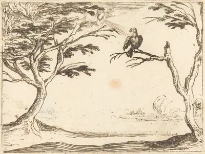 The Vulture