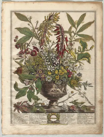 Twelve Months of Flowers: January