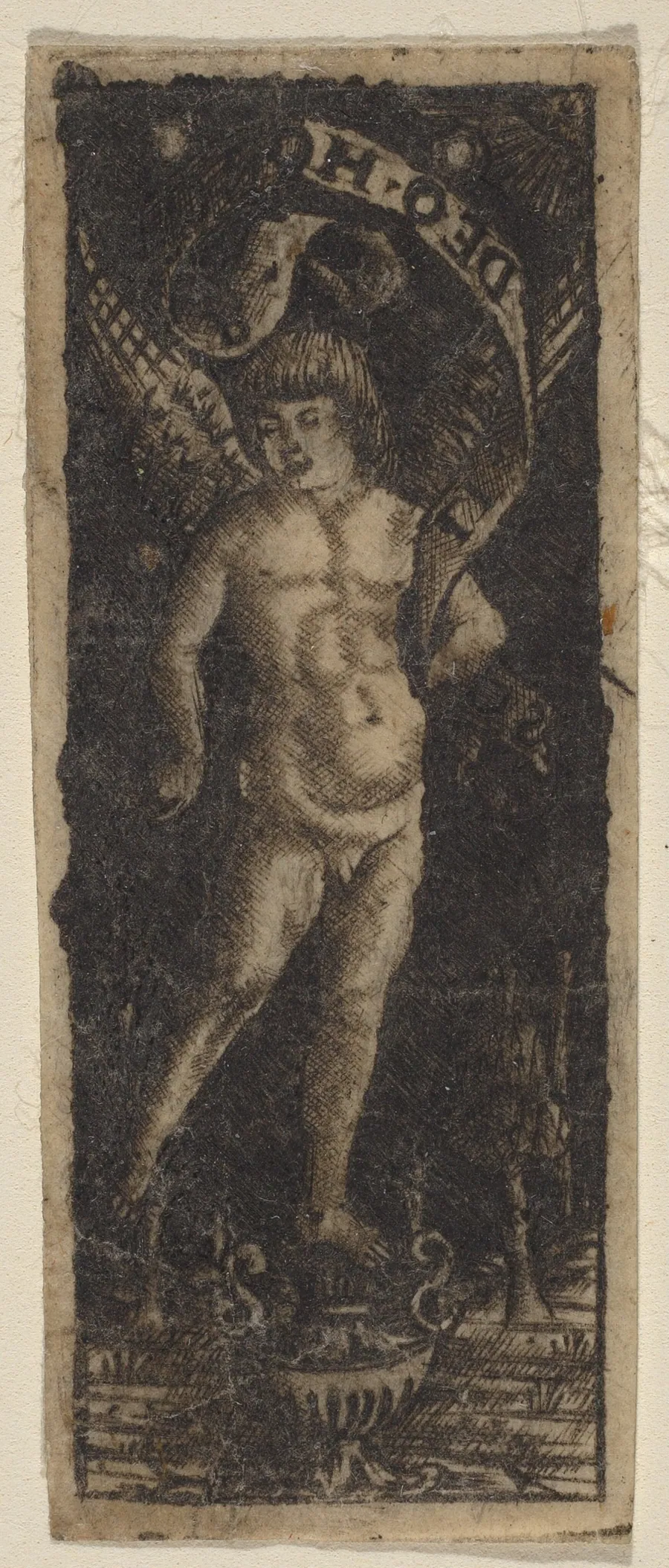 Cherub on a Vase with Inscription: "SOLI DEO HONOR" by Peregrino da Cesena