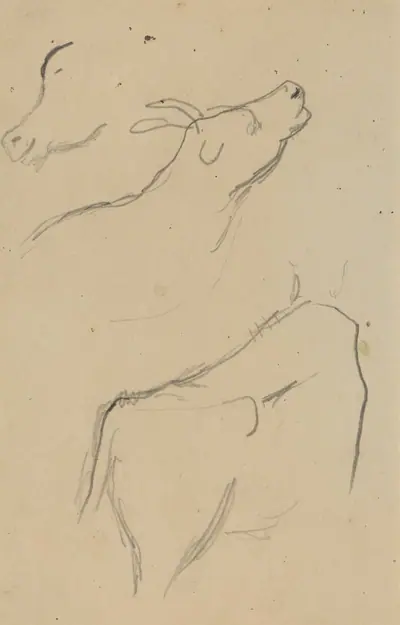 Studies of a Cow [verso]