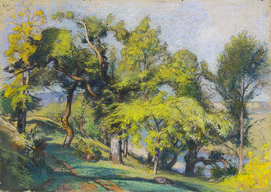 Chestnut Trees above a River by Auguste Lepère