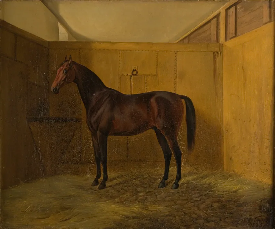 Hersilia by Fritz Thomsen