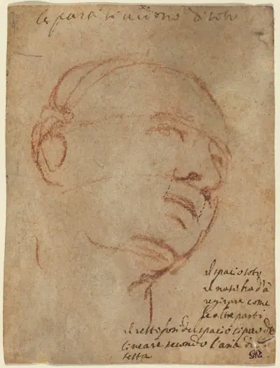 Head of a Man