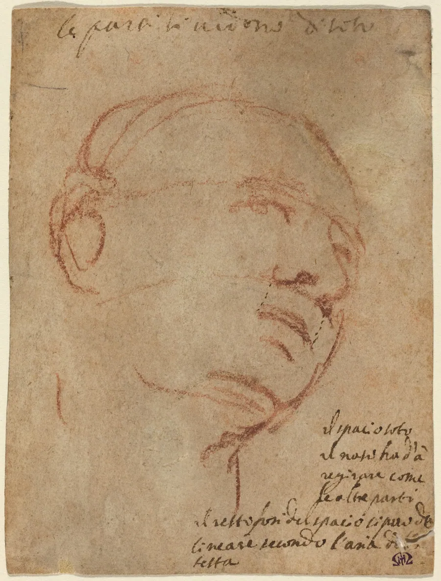 Head of a Man by Michelangelo