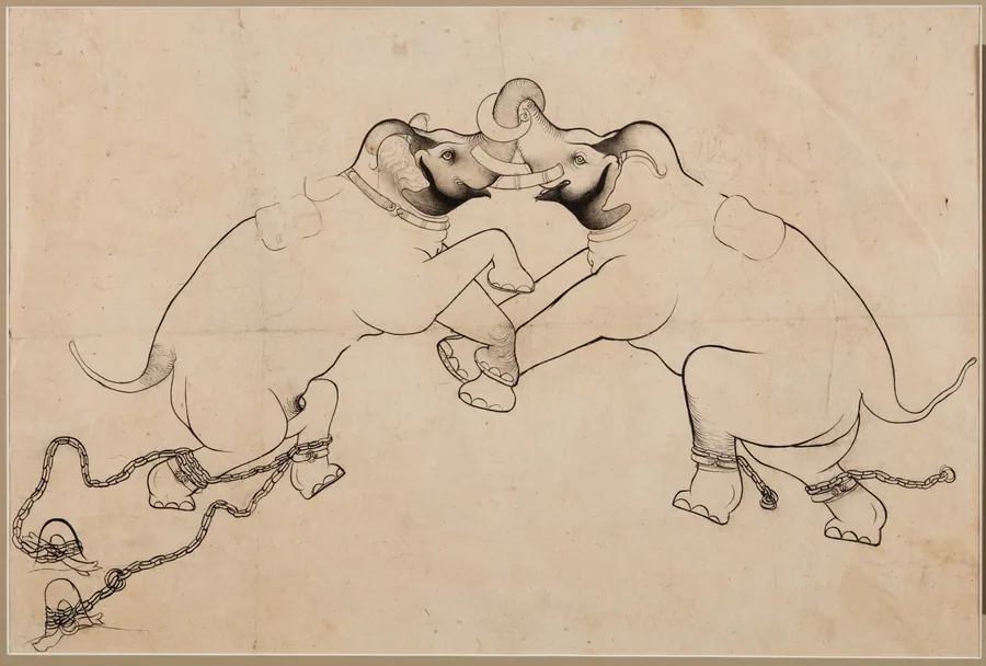 Two Elephants in Combat