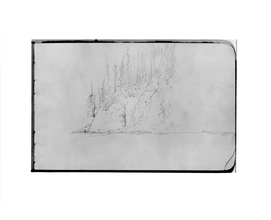 Sketch of a Cliffside with Trees (from Sketchbook) by Albert Bierstadt