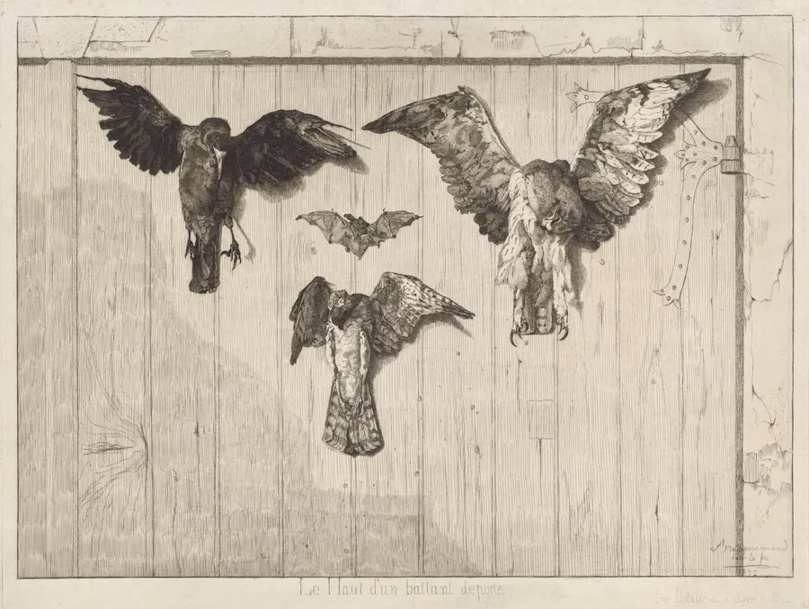 Le haut d'un battant de porte (Birds Nailed to a Barn Door) by Félix Bracquemond