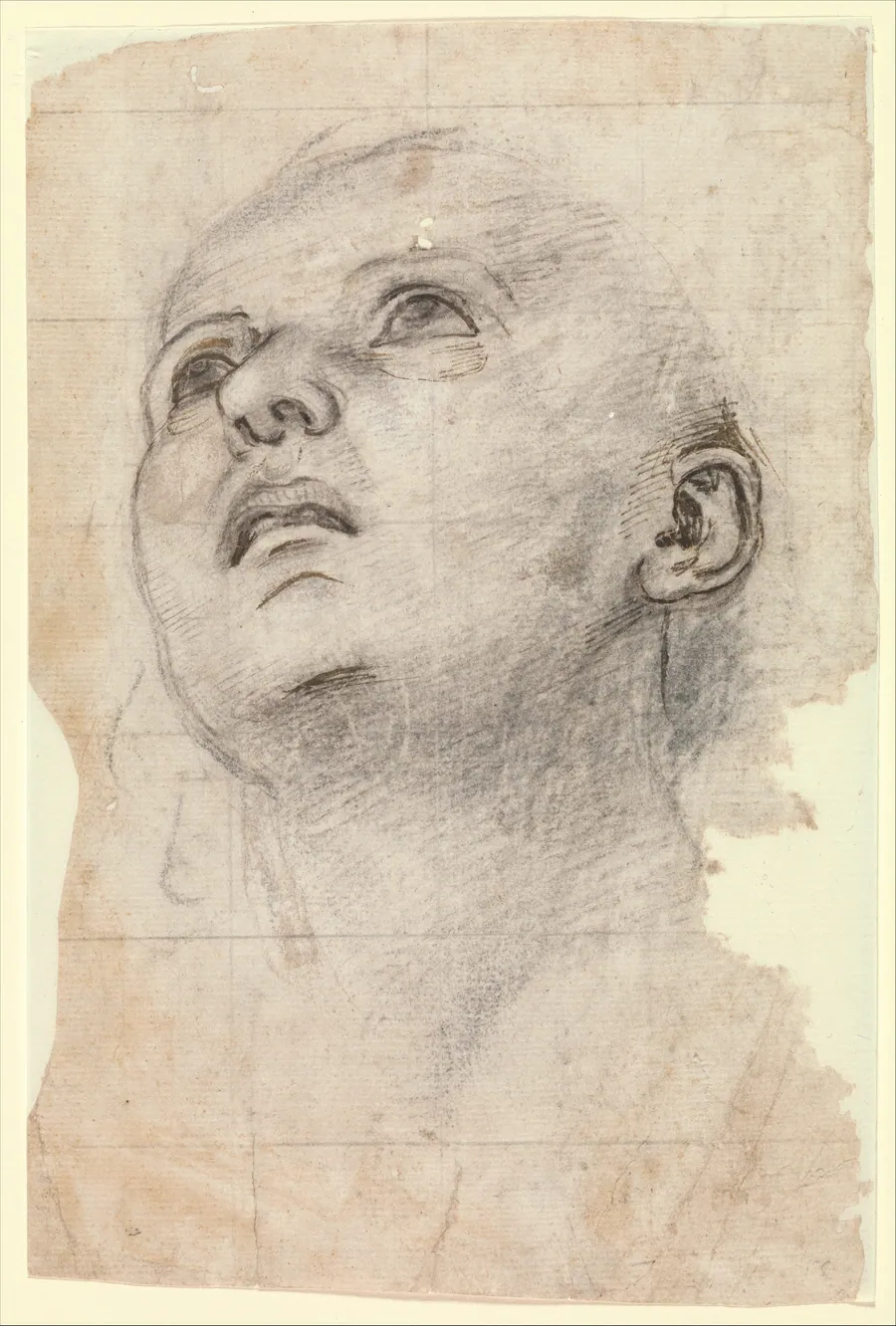 Study of the Head of a Youth Gazing Upward by Perugino (Pietro di Cristoforo Vannucci)