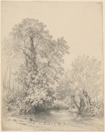 Trees by the River at Castle Bromwich