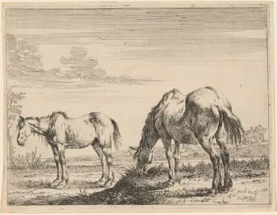 Two Grazing Horses