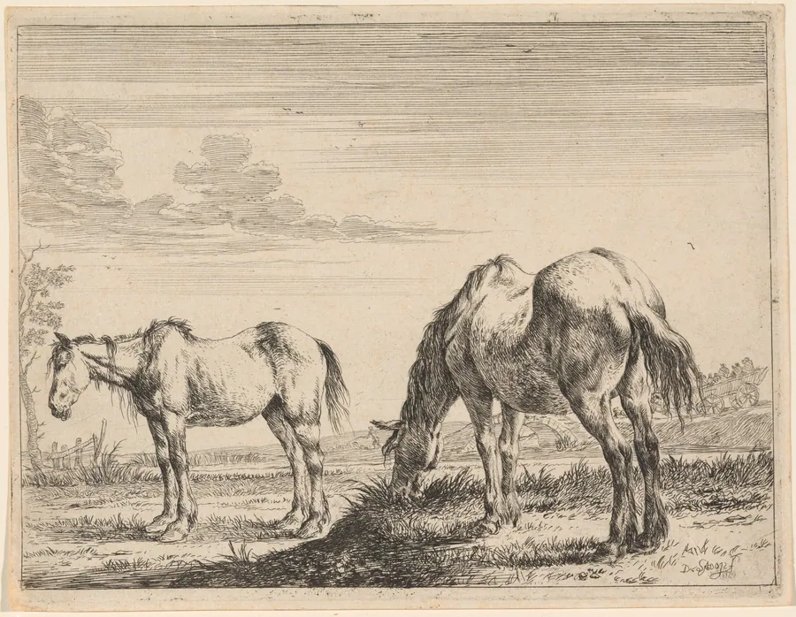 Two Grazing Horses by Dirck Stoop