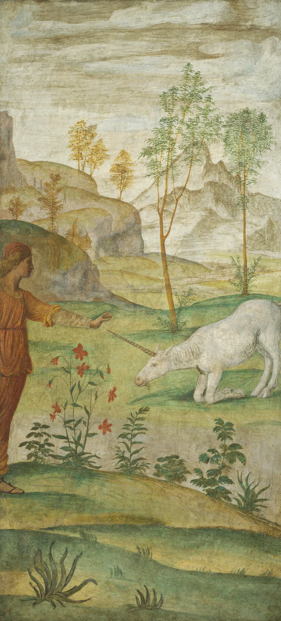 Procris and the Unicorn by Bernardino Luini
