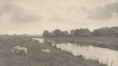 On the River Bure
