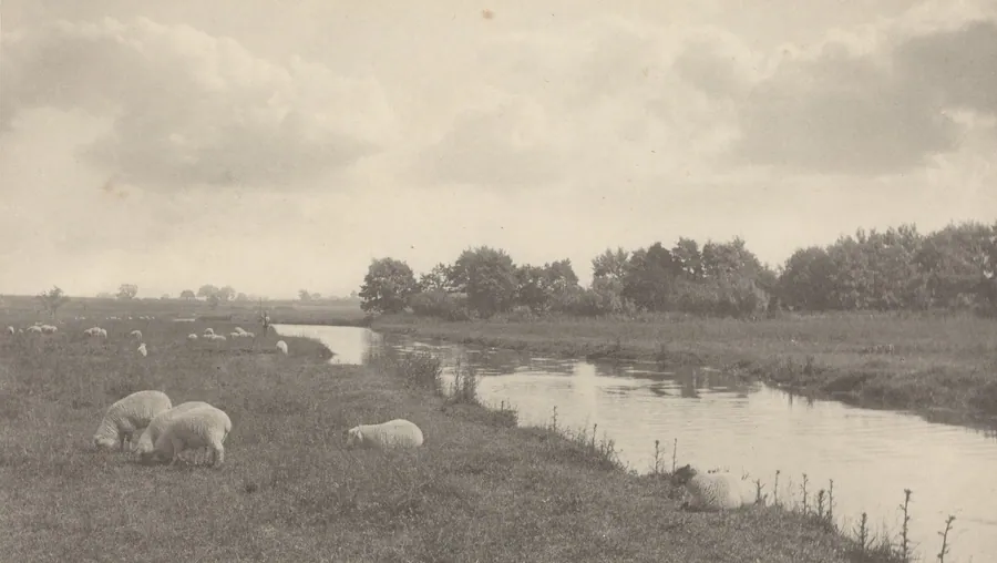 On the River Bure by Peter Henry Emerson