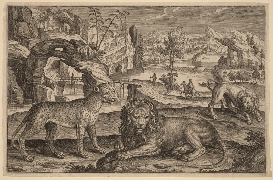 A Leopard and Two Lions by Adriaen Collaert