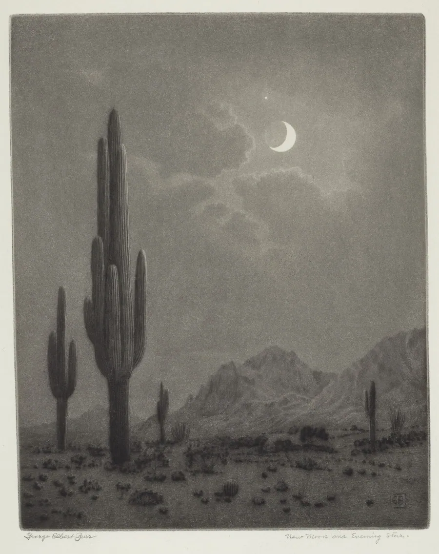 New Moon and Evening Star by George Elbert Burr